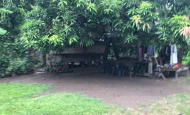 HOUSE AND LOT FOR SALE IN DAUIN