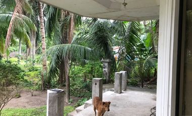 HOUSE AND LOT FOR SALE IN DAUIN