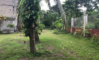 HOUSE AND LOT FOR SALE IN DAUIN