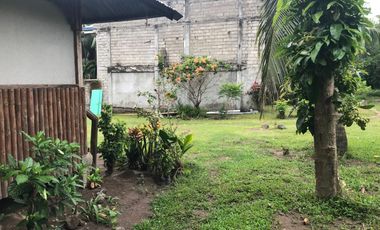 HOUSE AND LOT FOR SALE IN DAUIN