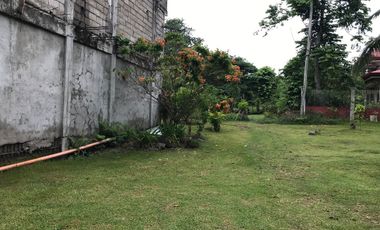 HOUSE AND LOT FOR SALE IN DAUIN