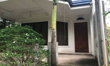 HOUSE AND LOT FOR SALE IN DAUIN