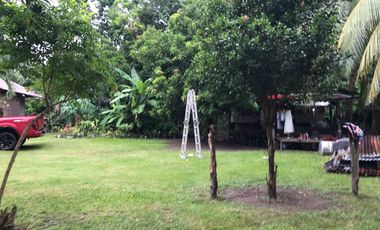 HOUSE AND LOT FOR SALE IN DAUIN