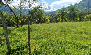Vendo terreno a dos minutos desde la doble calzada en Barbosa Antioquia.