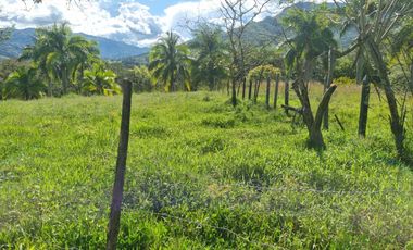 Vendo terreno a dos minutos desde la doble calzada en Barbosa Antioquia.