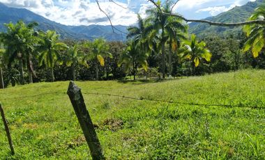 Vendo terreno a dos minutos desde la doble calzada en Barbosa Antioquia.
