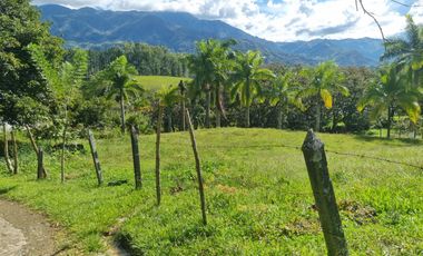 Vendo terreno a dos minutos desde la doble calzada en Barbosa Antioquia.
