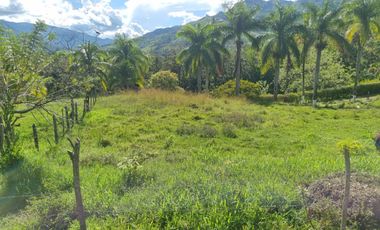 Vendo terreno a dos minutos desde la doble calzada en Barbosa Antioquia.
