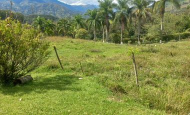 Vendo terreno a dos minutos desde la doble calzada en Barbosa Antioquia.
