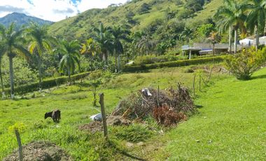Vendo terreno a dos minutos desde la doble calzada en Barbosa Antioquia.