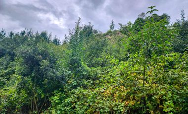 Hermosa Parcela de 1,7ha en Futrono, Condominio con acceso a playa del Lago Ranco