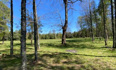 Z O N A S U R . C L   1 km. la ciudad, habitacional, Segunda Faja camino Pucón