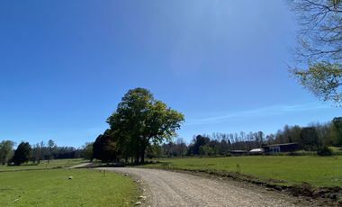 Z O N A S U R . C L   1 km. la ciudad, habitacional, Segunda Faja camino Pucón