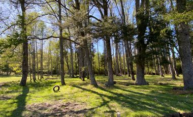 Z O N A S U R . C L   1 km. la ciudad, habitacional, Segunda Faja camino Pucón