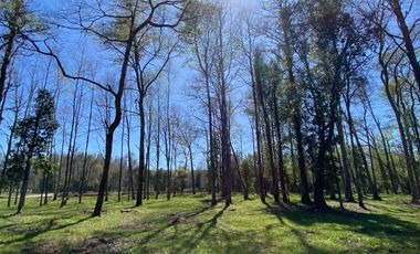 Z O N A S U R . C L   1 km. la ciudad, habitacional, Segunda Faja camino Pucón