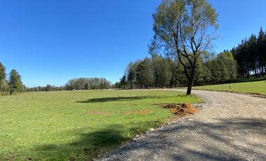 Z O N A S U R . C L   1 km. la ciudad, habitacional, Segunda Faja camino Pucón