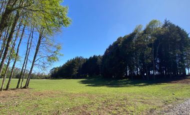 Z O N A S U R . C L   1 km. la ciudad, habitacional, Segunda Faja camino Pucón