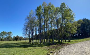 Z O N A S U R . C L   1 km. la ciudad, habitacional, Segunda Faja camino Pucón