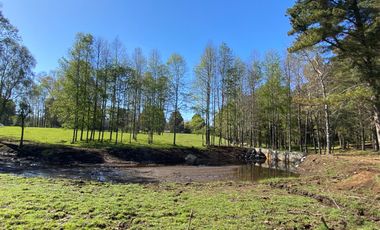 Z O N A S U R . C L   1 km. la ciudad, habitacional, Segunda Faja camino Pucón