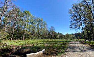 Z O N A S U R . C L   1 km. la ciudad, habitacional, Segunda Faja camino Pucón
