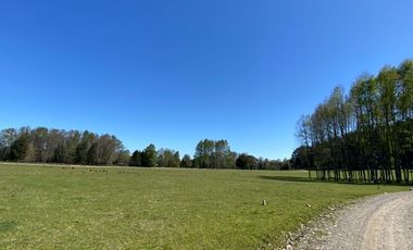 Z O N A S U R . C L   1 km. la ciudad, habitacional, Segunda Faja camino Pucón