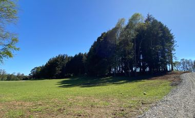 Z O N A S U R . C L   1 km. la ciudad, habitacional, Segunda Faja camino Pucón