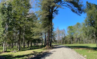 Z O N A S U R . C L   1 km. la ciudad, habitacional, Segunda Faja camino Pucón