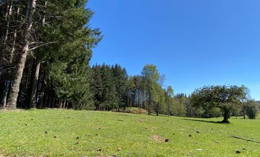 Z O N A S U R . C L   1 km. la ciudad, habitacional, Segunda Faja camino Pucón