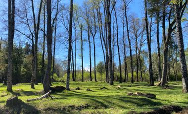 Z O N A S U R . C L   1 km. la ciudad, habitacional, Segunda Faja camino Pucón