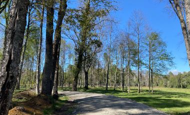 Z O N A S U R . C L   1 km. la ciudad, habitacional, Segunda Faja camino Pucón