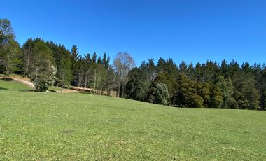Z O N A S U R . C L   1 km. la ciudad, habitacional, Segunda Faja camino Pucón