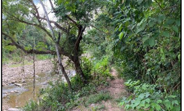VENDO TERRENO URBANO 2,908 M² MORALES TARAPOTO