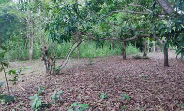 VENDO TERRENO URBANO 2,908 M² MORALES TARAPOTO
