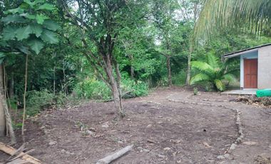 VENDO TERRENO URBANO 2,908 M² MORALES TARAPOTO