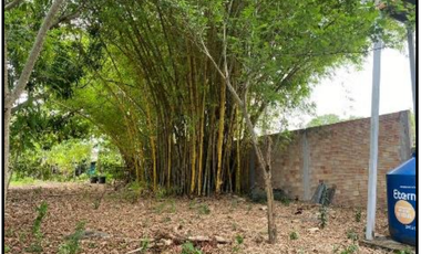 VENDO TERRENO URBANO 2,908 M² MORALES TARAPOTO