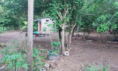 VENDO TERRENO URBANO 2,908 M² MORALES TARAPOTO