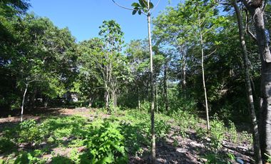 VENDO TERRENO URBANO 2,908 M² MORALES TARAPOTO