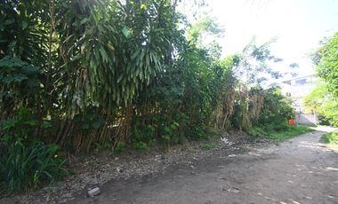 VENDO TERRENO URBANO 2,908 M² MORALES TARAPOTO