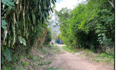 VENDO TERRENO URBANO 2,908 M² MORALES TARAPOTO
