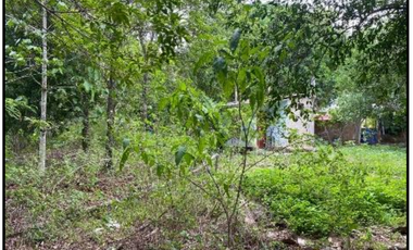 VENDO TERRENO URBANO 2,908 M² MORALES TARAPOTO