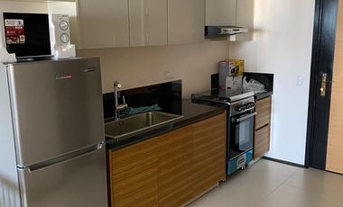 The Viridian in Greenhills 43 sqm studio furnished unit for rent
