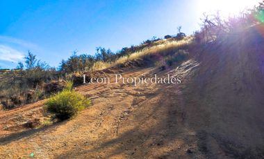 Leon Propiedades vende Terreno de 4 ha. en sector Los Naranjos, Curacavi.