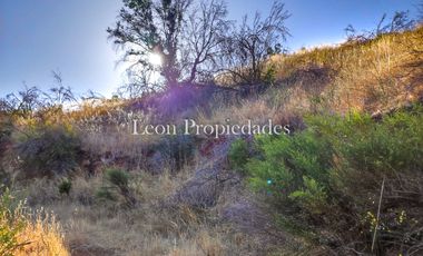 Leon Propiedades vende Terreno de 4 ha. en sector Los Naranjos, Curacavi.
