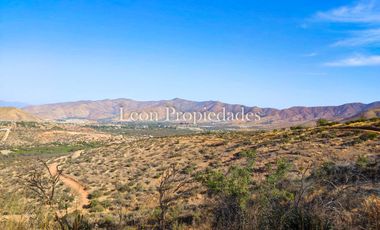 Leon Propiedades vende Terreno de 4 ha. en sector Los Naranjos, Curacavi.