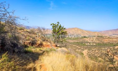 Leon Propiedades vende Terreno de 4 ha. en sector Los Naranjos, Curacavi.