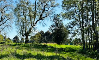 PARCELAS A 18 KM DE OSORNO - ROBLES DEL RAHUE