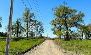 PARCELAS A 18 KM DE OSORNO - ROBLES DEL RAHUE