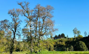 PARCELAS A 18 KM DE OSORNO - ROBLES DEL RAHUE