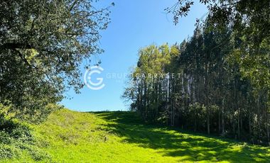 PARCELAS A 18 KM DE OSORNO - ROBLES DEL RAHUE