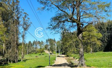 PARCELAS A 18 KM DE OSORNO - ROBLES DEL RAHUE